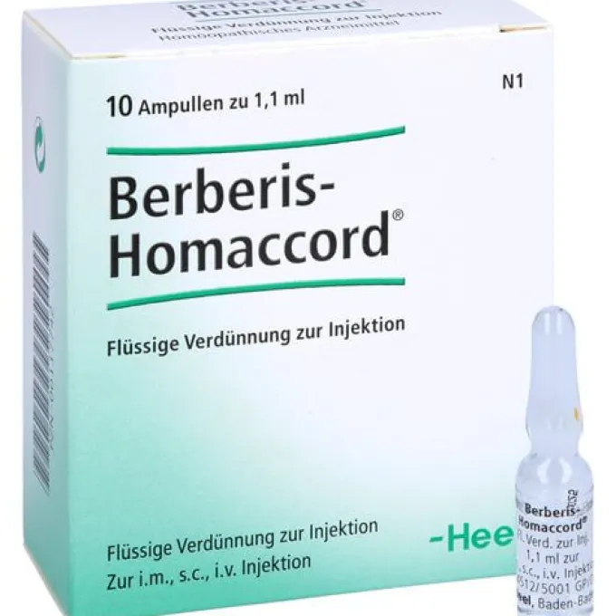 BERBERIS HOMACCORD Ampullen 10 St