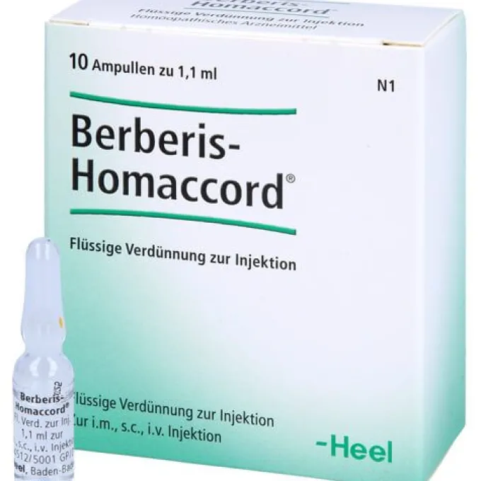 BERBERIS HOMACCORD Ampullen 10 St