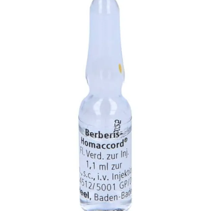 BERBERIS HOMACCORD Ampullen 10 St