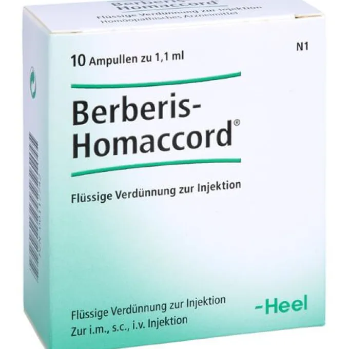 BERBERIS HOMACCORD Ampullen 10 St