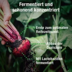 BETANIO PLUS Rote Beete Konzentrat 500 ml