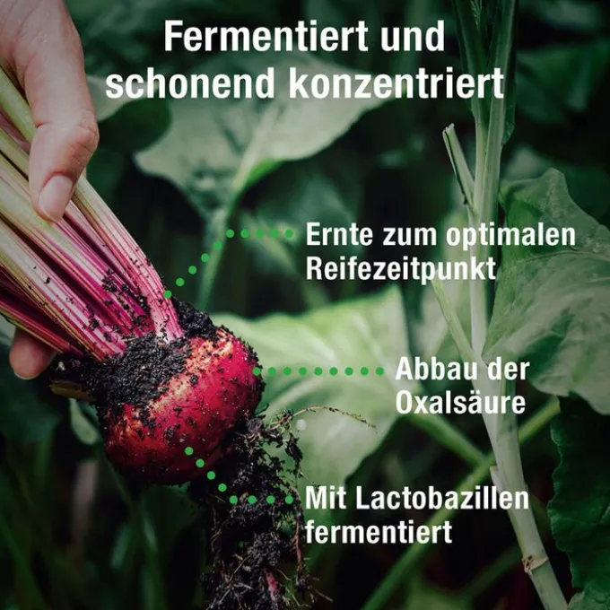 BETANIO PLUS Rote Beete Konzentrat 500 ml