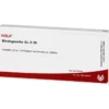BINDEGEWEBE GL D 30 Ampullen 10X1 ml