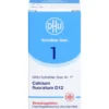 BIOCHEMIE DHU 1 Calcium fluoratum D 12 Globuli 10 g