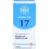 BIOCHEMIE DHU 17 Manganum sulfuricum D 6 Tabletten 200 St