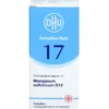BIOCHEMIE DHU 17 Manganum sulfuricum D 12 Tabl. 200 St