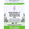 BIOCHEMIE 17 Manganum sulfuricum D 6 Tabletten 80 St