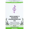 BIOCHEMIE 9 Natrium phosphoricum D 6 Tabletten 500 St