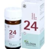 BIOCHEMIE Pflüger 24 Arsenum jodatum D 6 Tabletten 100 St