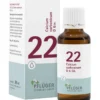 BIOCHEMIE Pflüger 22 Calcium carbonicum D 6 Tropf. 30 ml