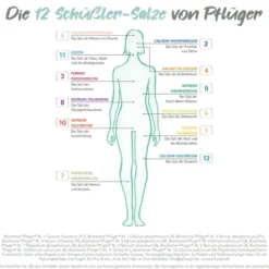 BIOCHEMIE Pflüger 1 Calcium fluoratum D 12 Tropfen 30 ml