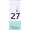 BIOCHEMIE Pflüger 27 Kalium bichromicum D 12 Glob. 15 g