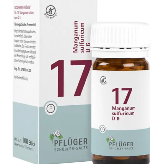 BIOCHEMIE Pflüger 17 Manganum sulfuricum D 6 Tabl. 100 St
