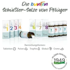 BIOCHEMIE Pflüger 10 Natrium sulfuricum D 6 Tabl. 1000 St