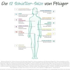 BIOCHEMIE Pflüger 10 Natrium sulfuricum D 6 Tabl. 1000 St
