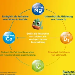 BIOLECTRA Magnesium 250 mg Muskeln & Kno.Aktiv KTA 30 Stück