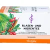 BLASEN UND Nierentee VII Bombastus Filterbeutel 20X2 g