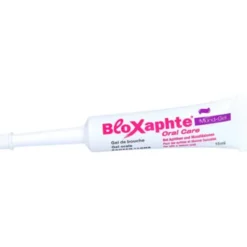 BLOXAPHTE Oral Care Mund-Gel 15 ml