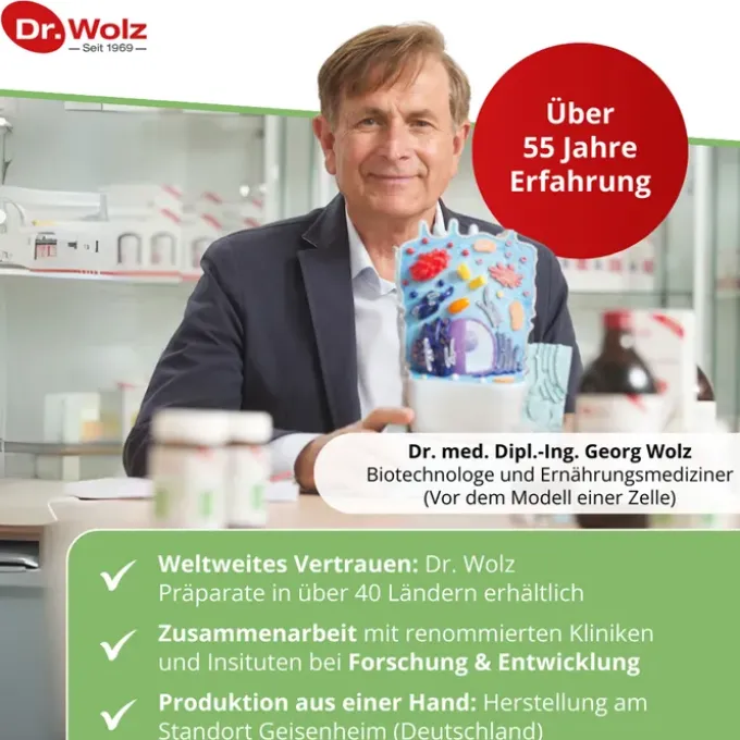 BROKKOLI EXTRAKT+Aktiv-Enzym Dr.Wolz msr.Kaps. 60 Stück