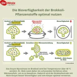 BROKKOLI EXTRAKT+Aktiv-Enzym Dr.Wolz msr.Kaps. 60 Stück