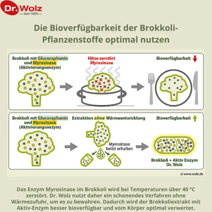 BROKKOLI EXTRAKT+Aktiv-Enzym Dr.Wolz msr.Kaps. 60 Stück