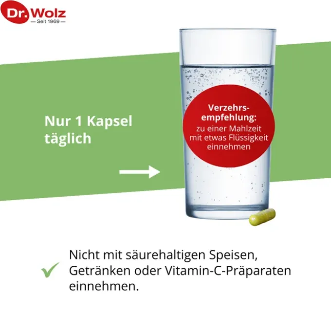 BROKKOLI EXTRAKT+Aktiv-Enzym Dr.Wolz msr.Kaps. 60 Stück