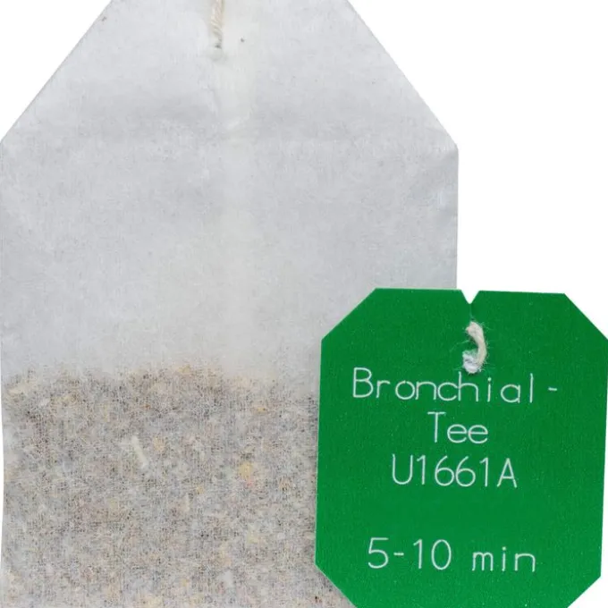BRONCHIAL-TEE Kräutertee Nr.8 Salus Filterbeutel 15 Stück