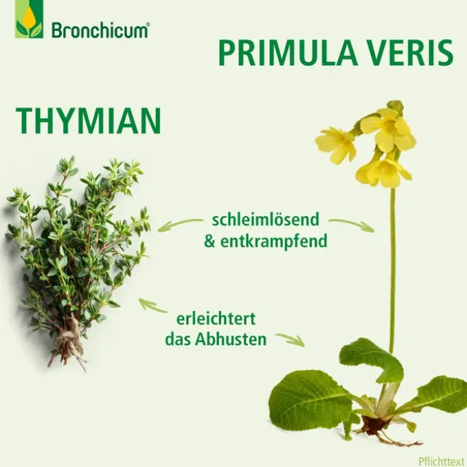 BRONCHICUM Elixir 100 ml