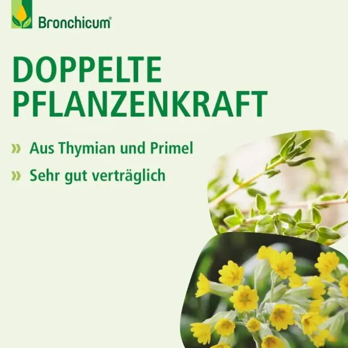 BRONCHICUM Tropfen 30 ml