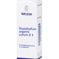 BRYOPHYLLUM ARGENTO cultum D 3 Dilution 50 ml