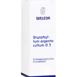 BRYOPHYLLUM ARGENTO cultum D 3 Dilution 50 ml