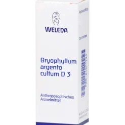 BRYOPHYLLUM ARGENTO cultum D 3 Dilution 50 ml