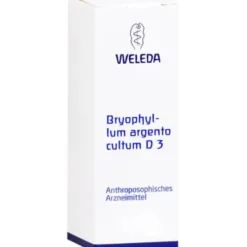 BRYOPHYLLUM ARGENTO cultum D 3 Dilution 50 ml