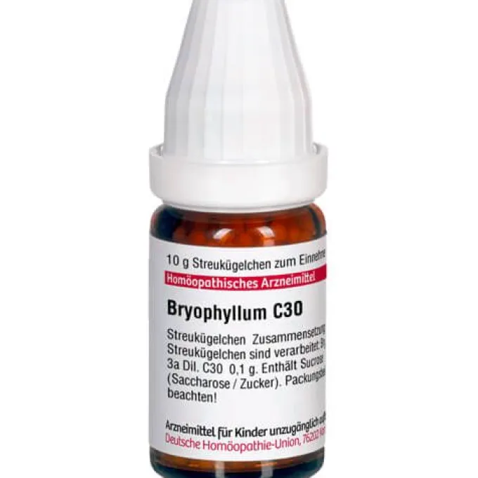 BRYOPHYLLUM C 30 Globuli 10 g
