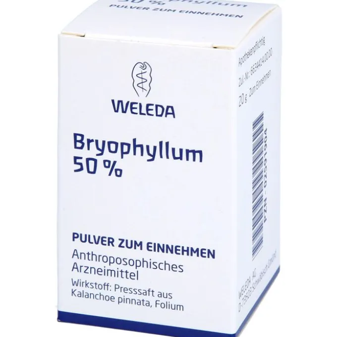 BRYOPHYLLUM 50% Pulver zum Einnehmen 20 g