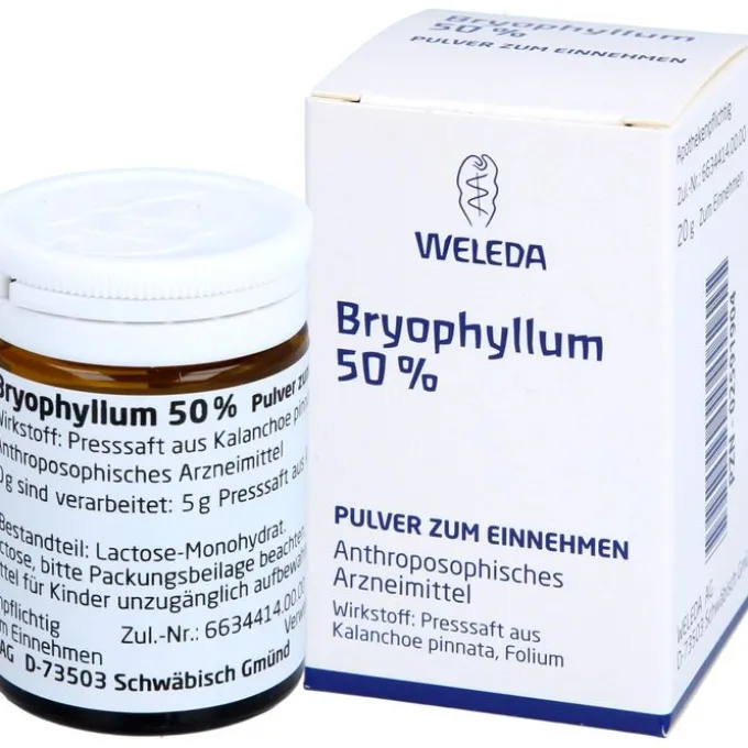 BRYOPHYLLUM 50% Pulver zum Einnehmen 20 g