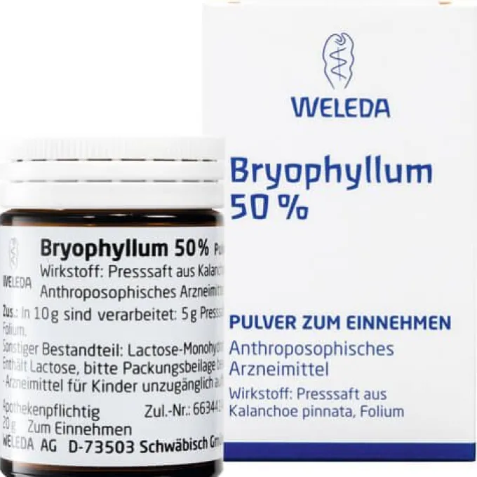 BRYOPHYLLUM 50% Pulver zum Einnehmen 20 g