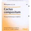 CACTUS COMPOSITUM Ampullen 10 St