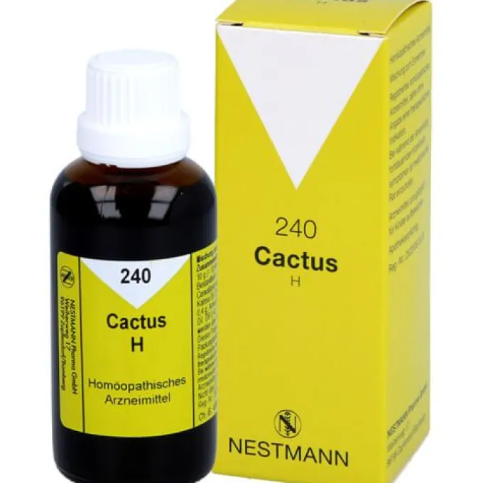 CACTUS H 240 Tropfen 50 ml