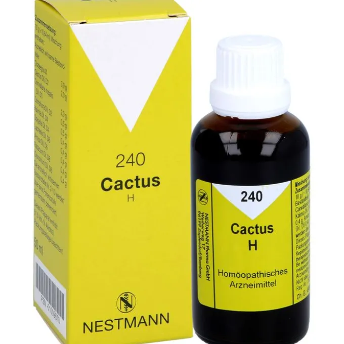 CACTUS H 240 Tropfen 50 ml