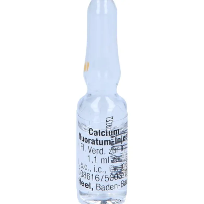 CALCIUM FLUORATUM INJEEL Ampullen 10 St