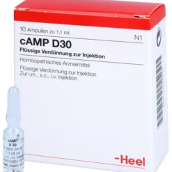CAMP D 30 Ampullen 10 St