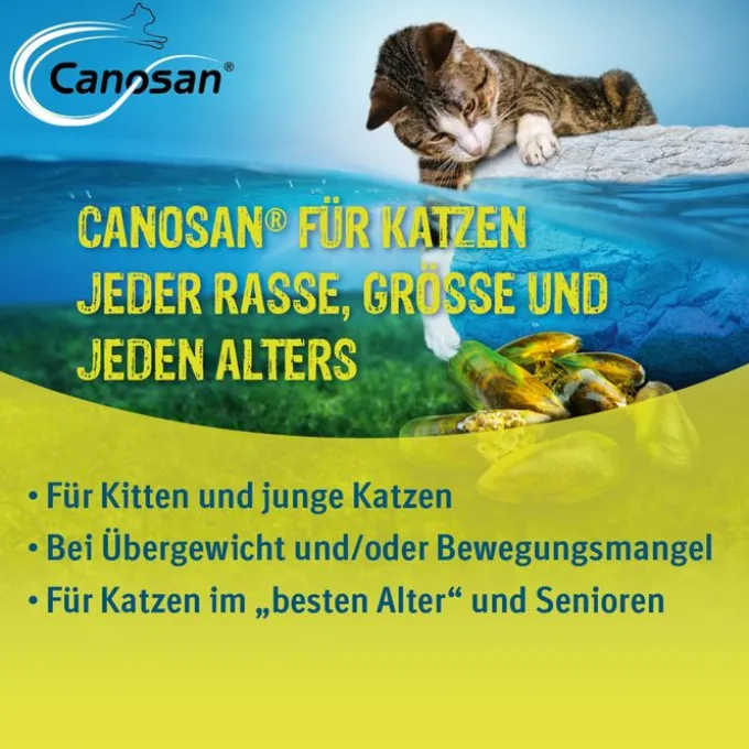CANOSAN Kautabletten f.Katzen 30 St