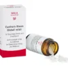 CANTHARIS BLASEN Globuli velati 20 g