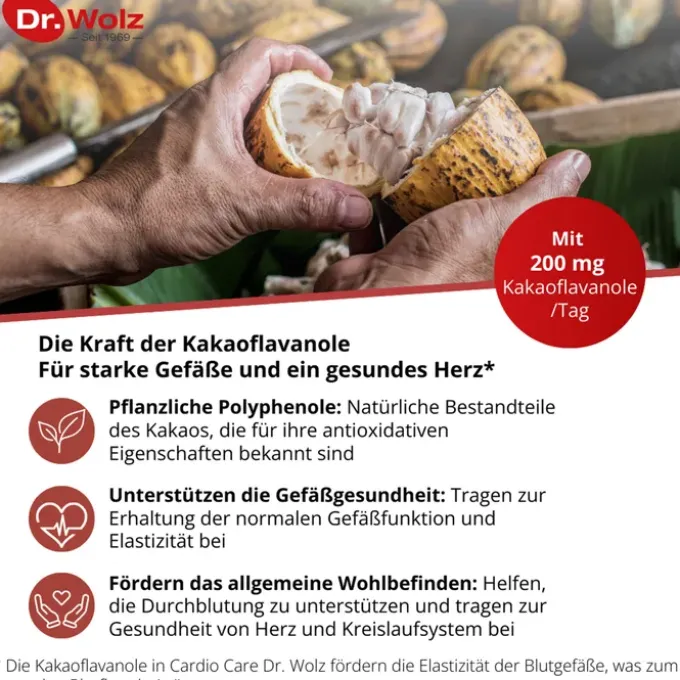 CARDIO CARE Dr.Wolz Kapseln 60 Stück