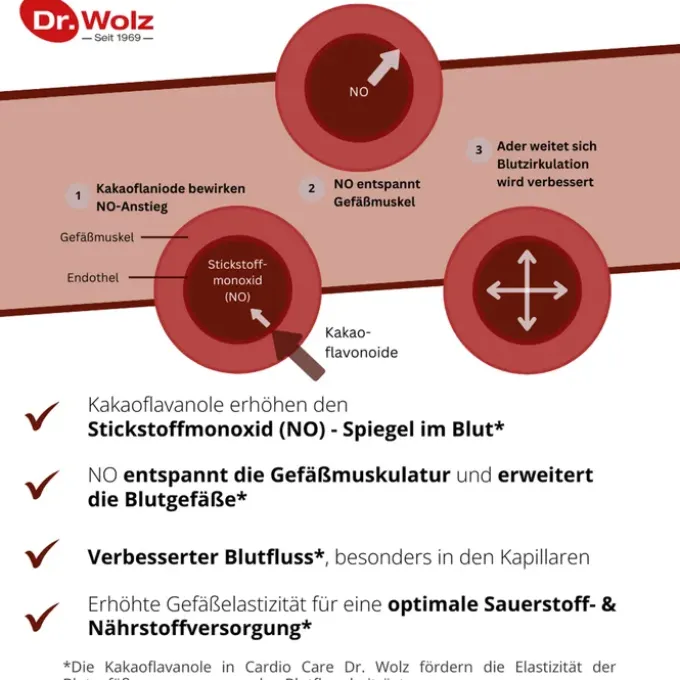 CARDIO CARE Dr.Wolz Kapseln 60 Stück
