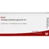CARTILAGO articularis genus GL D 4 Ampullen 10X1 ml