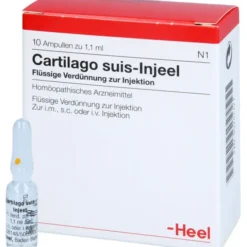 CARTILAGO suis Injeel Ampullen 10 St