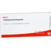 CHELIDONIUM/COLOCYNTHIS Ampullen 10X1 ml