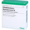 CHELIDONIUM-HOMACCORD N Ampullen 10 St